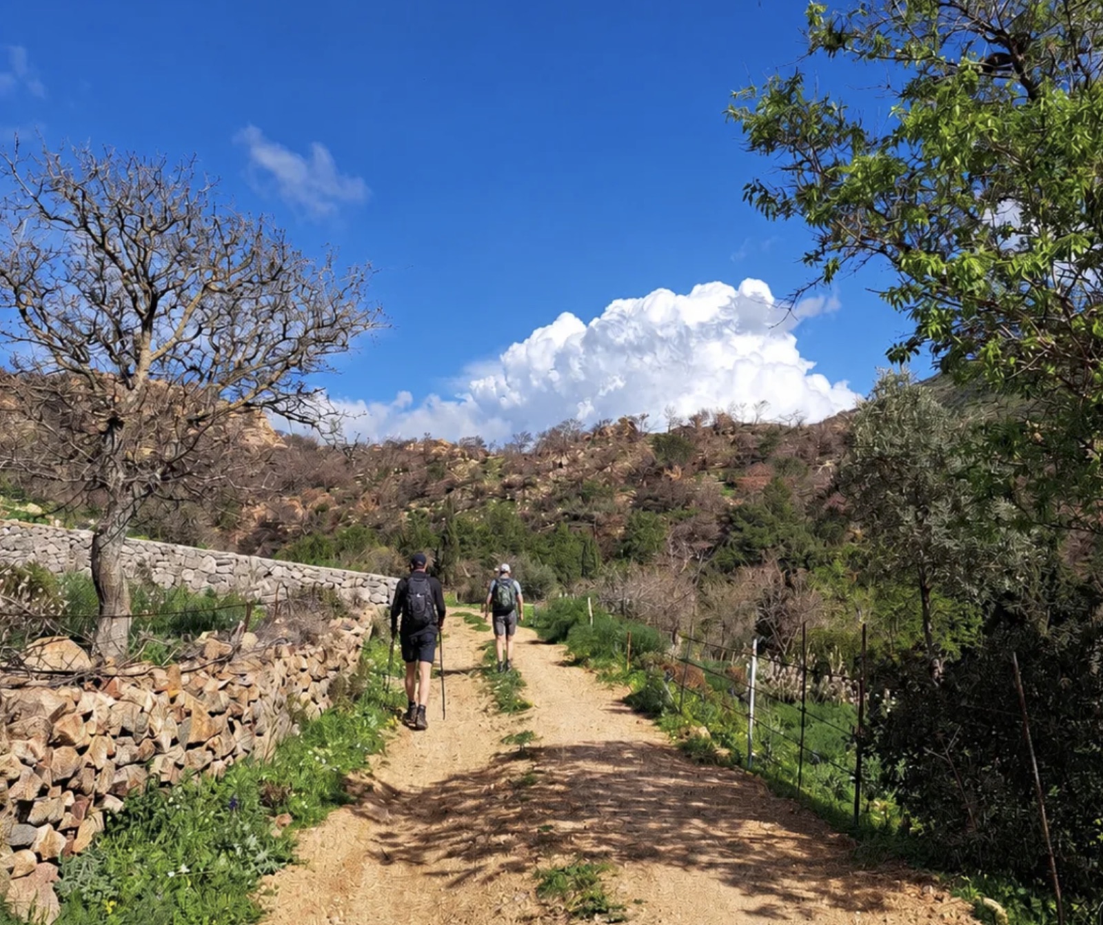 The Lelegian Way path leading up to Pedasa, with its dry stone walls