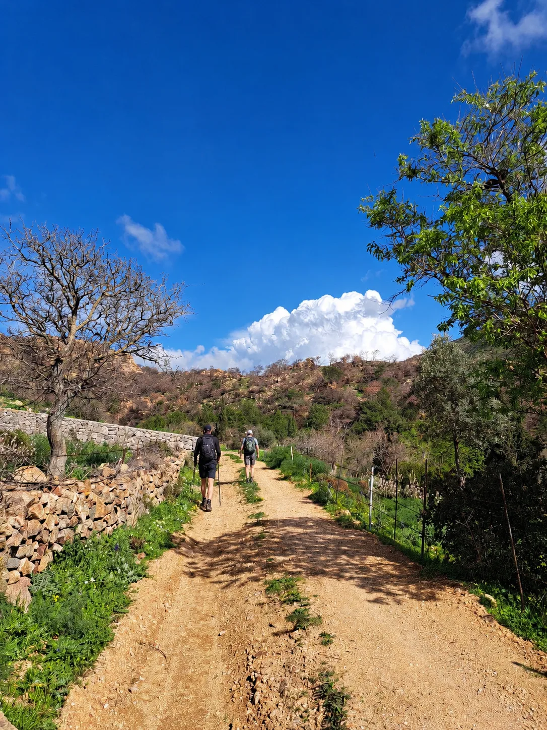 Leleg Yolu
