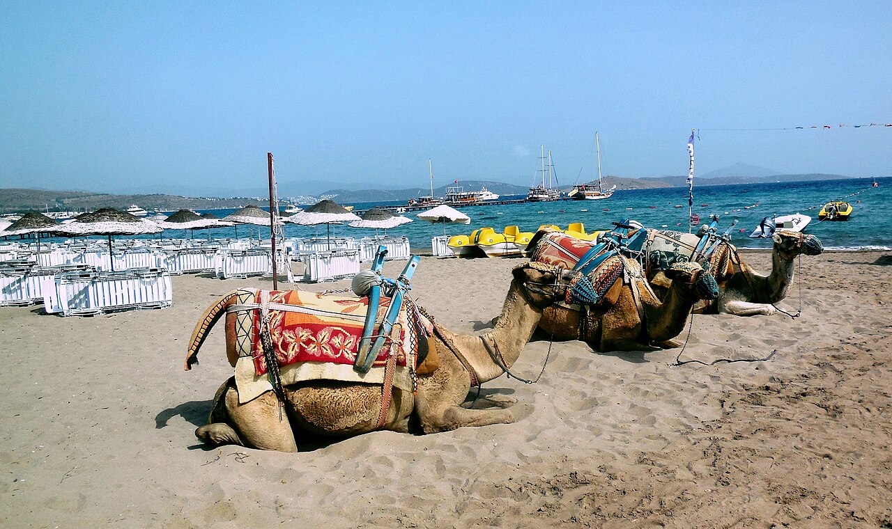 Camel Beach (Kargı Koyu)