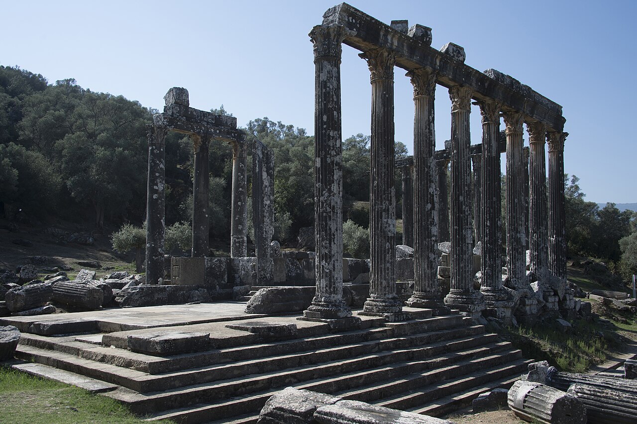 Euromos & Zeus Tapınağı