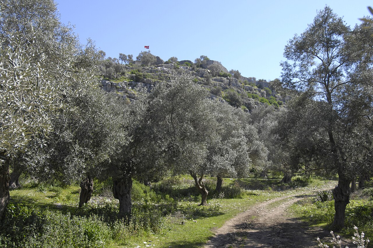 Iasos Antik Kenti
