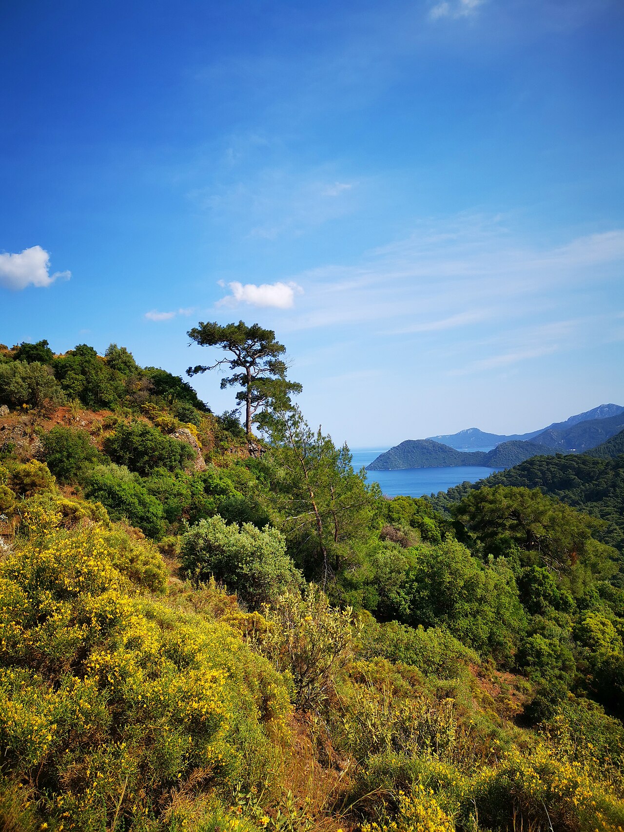 Marmaris Milli Parkı