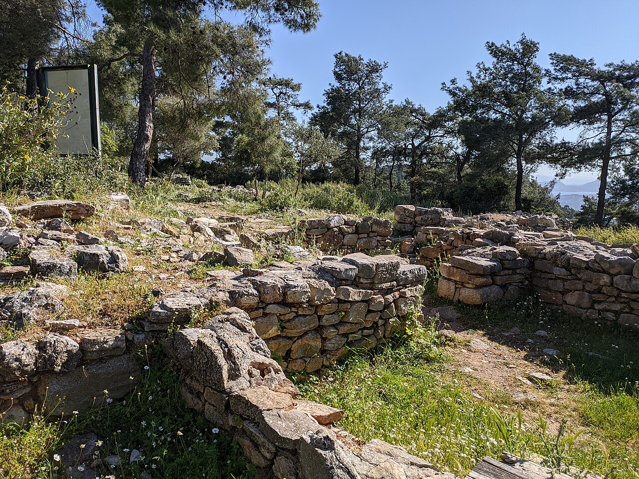 Pedasa: Bodrum'un Kayıp Leleg Kenti
