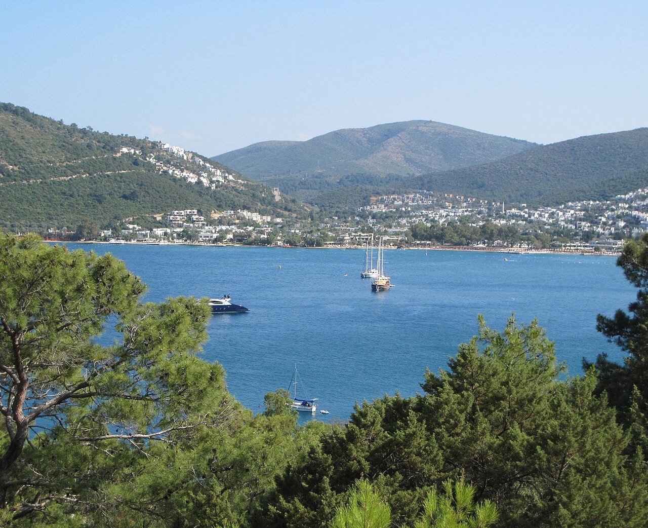 Torba Koyu